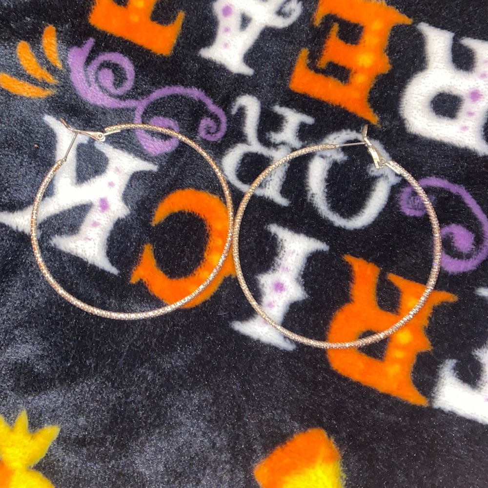 sparkly silver hoops